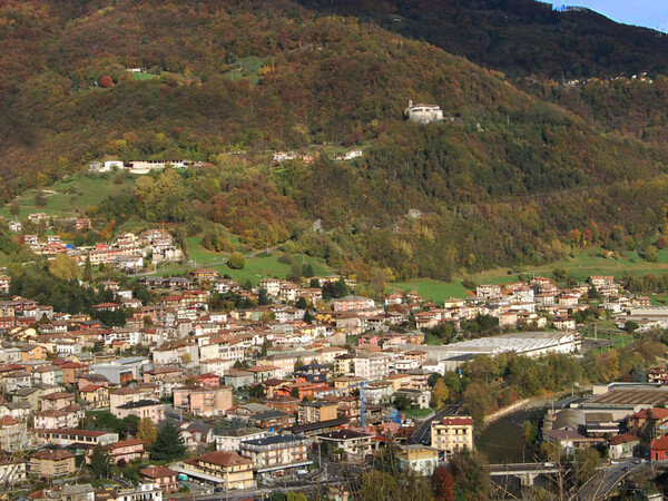 Immagine Colzate